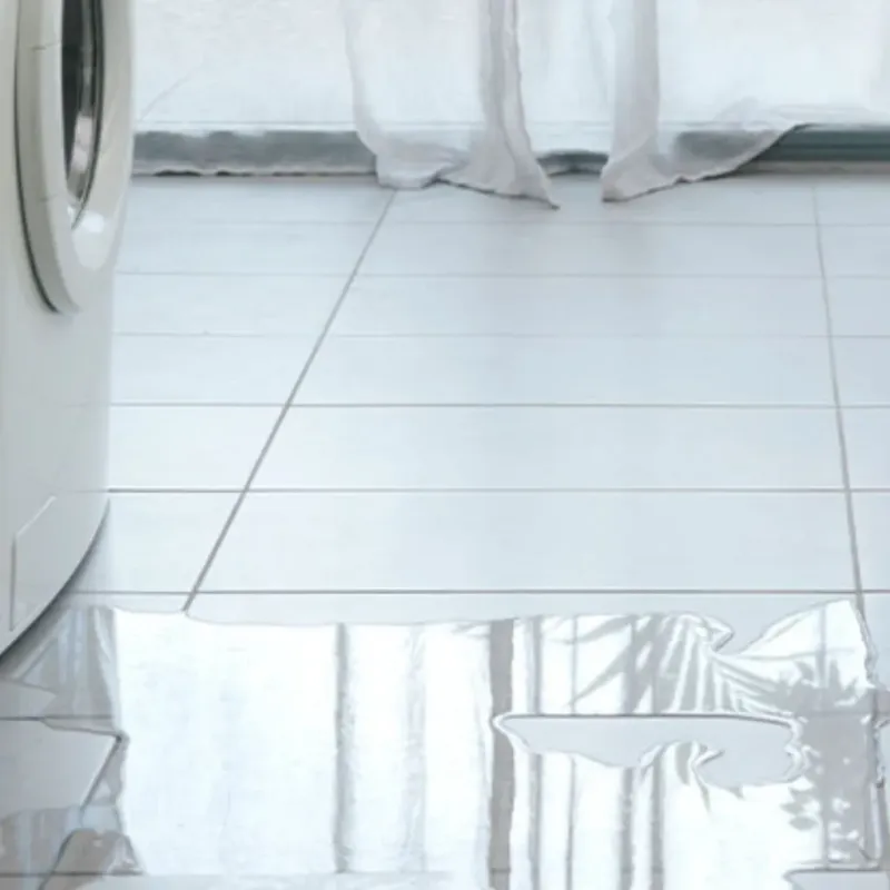 Appliance Leak Cleanup in South Point, TX