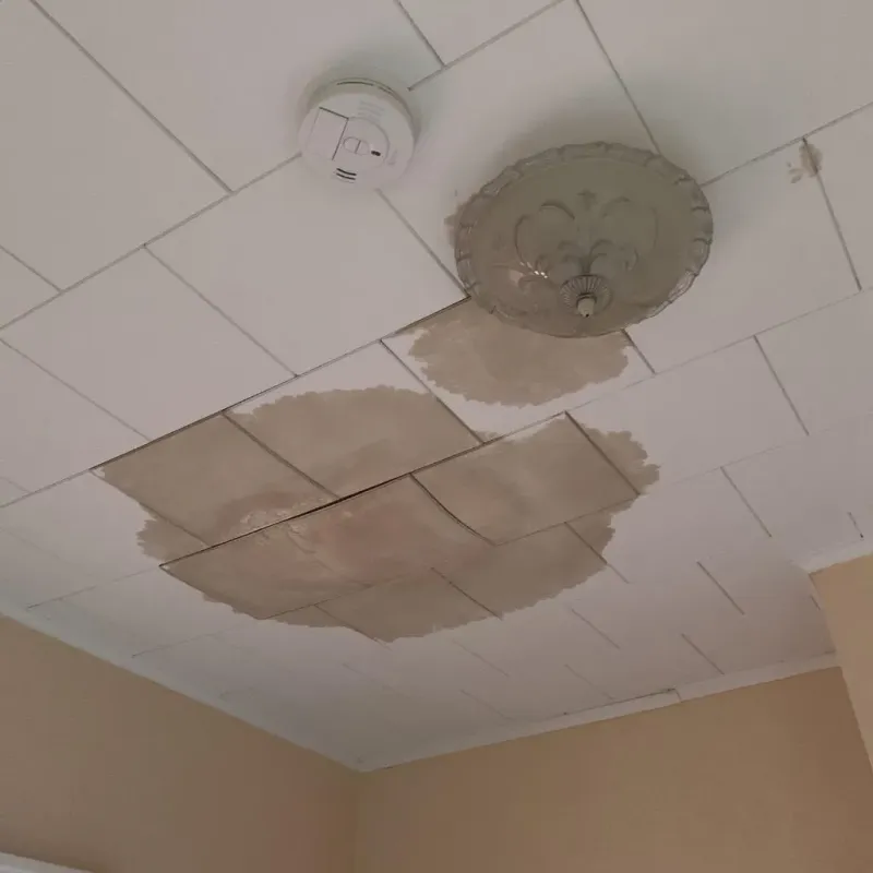 Ceiling Water Damage Repair in South Point, TX