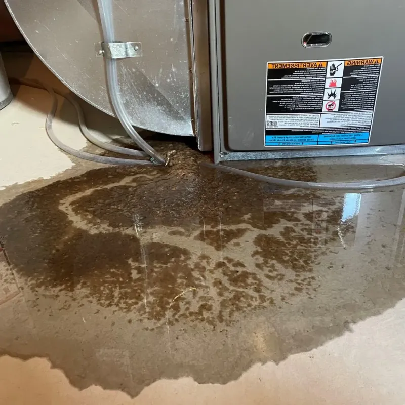 Pipe Burst and Leak Restoration in South Point, TX