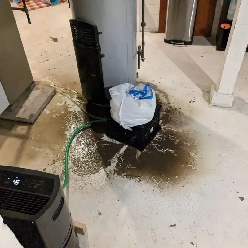 Sewage Backup Cleanup Service in South Point, TX